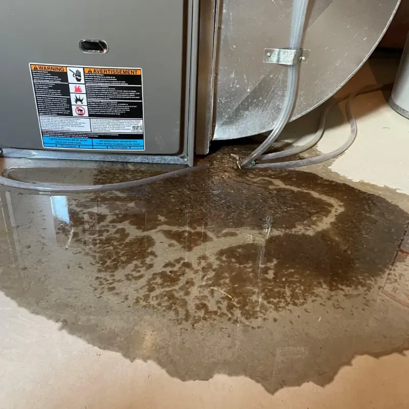 Appliance Leak Cleanup in Sumner, WA